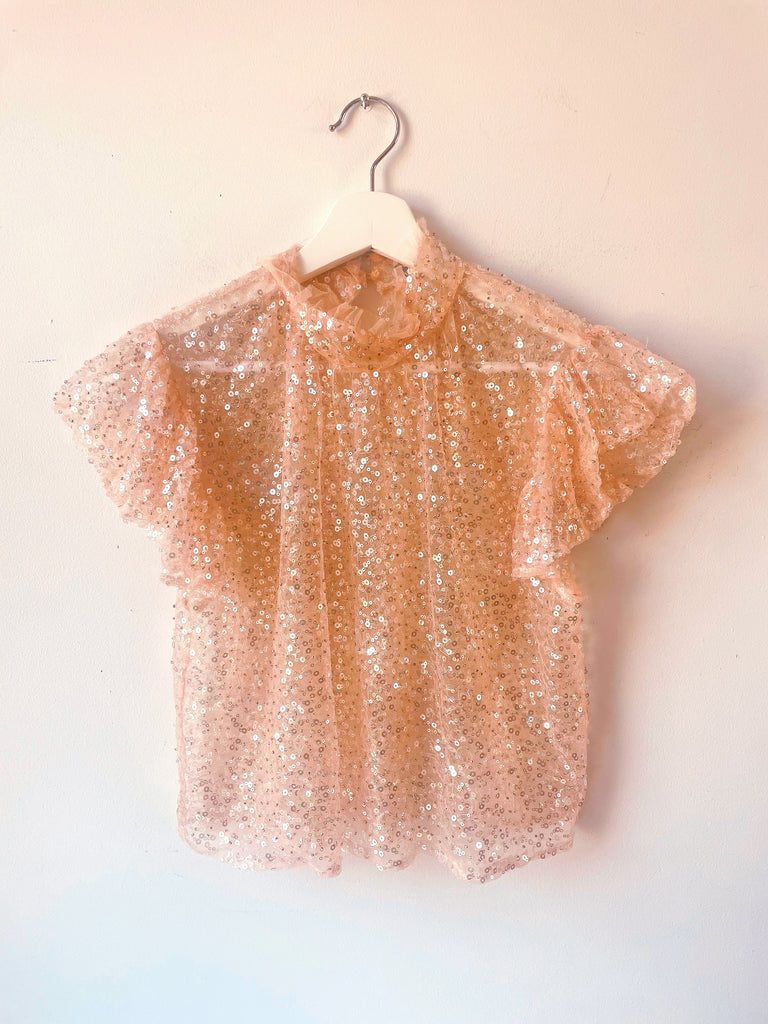 Gift never used - Zara ruffled sleeve blush tulle sequins top - Size Small